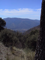 IMG_5238.JPG