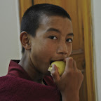 DSC_7820.jpg