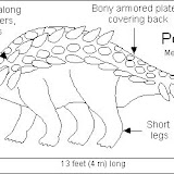 Polacanthus_bw.gif.jpg