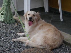 [FDS%2520Ecaologico%25206%2520%252844%2529%255B4%255D.jpg]