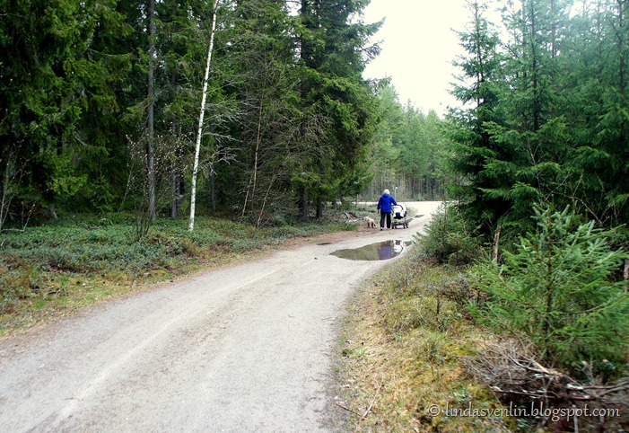 DSC065541