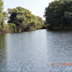 DSCN4446.JPG