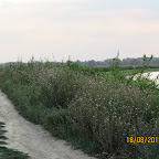 IMG_8190.JPG