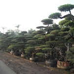 DSCF4313.JPG