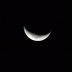 IMG_1146.jpg