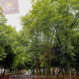 Praça de Coyacan - Cidade do México