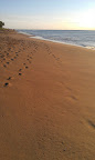 IMAG0079.jpg