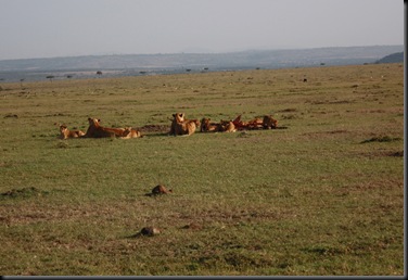 Kenya July 2011 378
