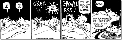 Calvin e Hobbes Dormir