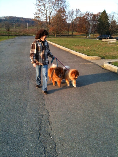 G.K., my boy, you have such a regal stride!  Just walk proudly in the ring.  Always put your best paw forward!