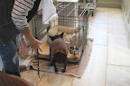 Then it's back into the crate for me.