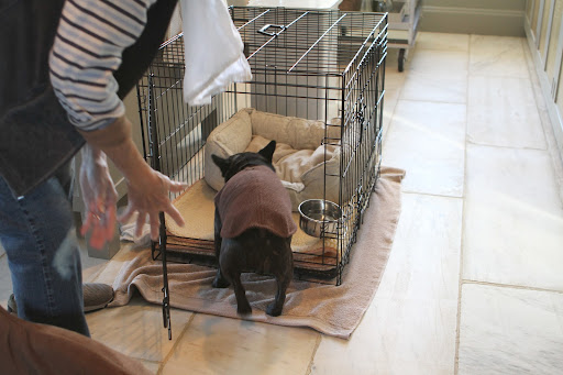Then it's back into the crate for me.