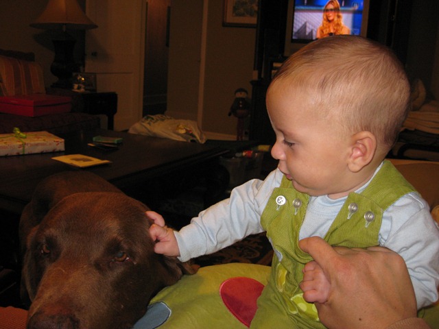 [babies%2520and%2520their%2520dogs%2520113012%2520%252817%2529%255B3%255D.jpg]
