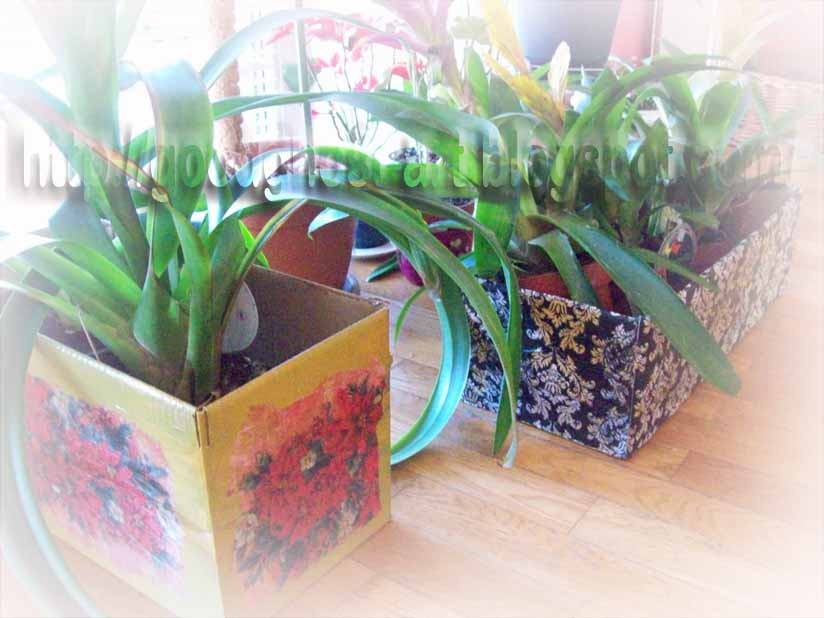 [100_0129%255B3%255D.jpg]