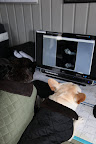 Oh wow!  The image also scanned directly to the computer so we can Photoshop it before printing.  What we're doing is is SO Hi-tech!