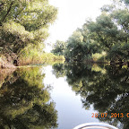 DSCN4506.JPG
