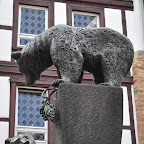 DSC_9873.jpg
