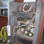 RIMG0029.JPG