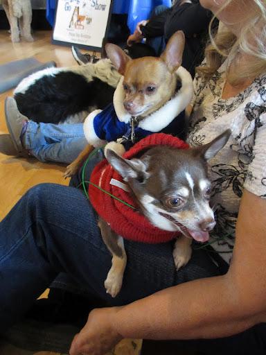 Bruce and Hazel shared their thoughts on what landed them 