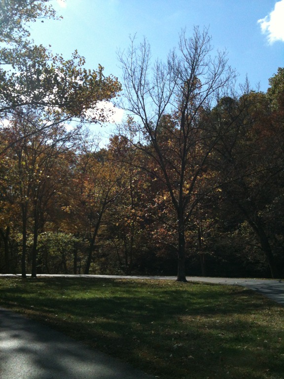 [IMG_1039%255B3%255D.jpg]