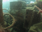 Fleur de lys: bib swim among the various bit of wreckage