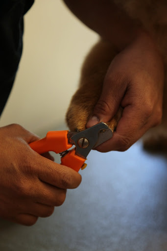 Be very careful with those nail snippers.