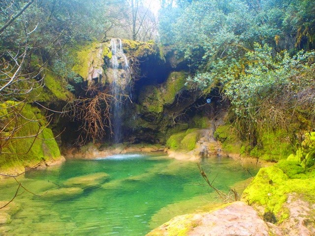 10413332_1083572091668516_3307112364441068252_n