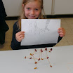 BILD0247.JPG