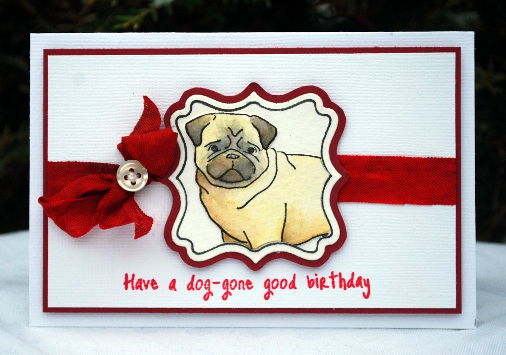 [Pug%2520Birthday%255B4%255D.jpg]