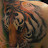 tiger2