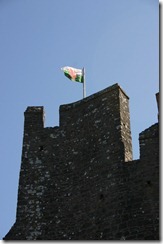 IMG_6740
