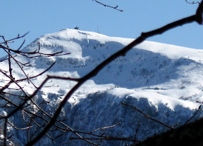 IMG_0561_resize.jpg