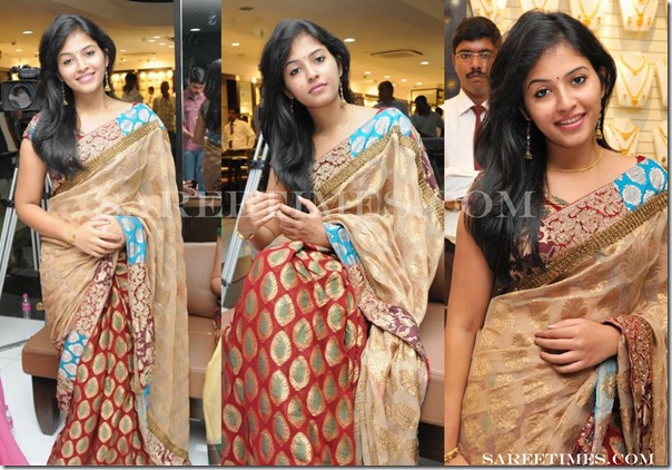 Anjali_Designer_Sari
