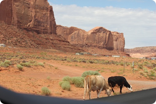 Drive to Monument Valley 122
