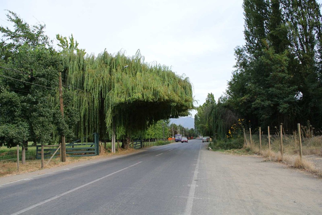 [DSC_8881%255B3%255D.jpg]