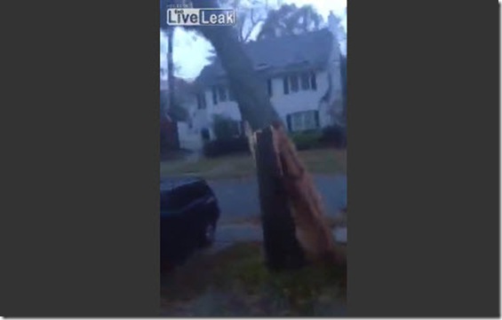 hurricane-sandy-suburbs-tree