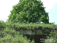 dsc06856.jpg