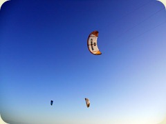 DSCN2454