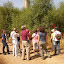 SET#2 #368 Sobre a transformaç_o da paisagem-de Rupícola para Mediterrânica[Régua,Foz-Corgo].JPG