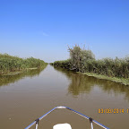 IMG_5744.JPG