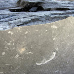 1 - Sciage bloc brut