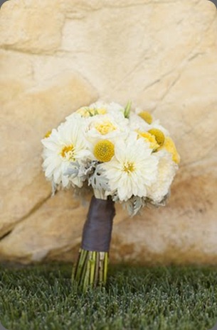 0102_j0559_veague_1458 april flowers 0102_j0559_veague_1458 april flowers