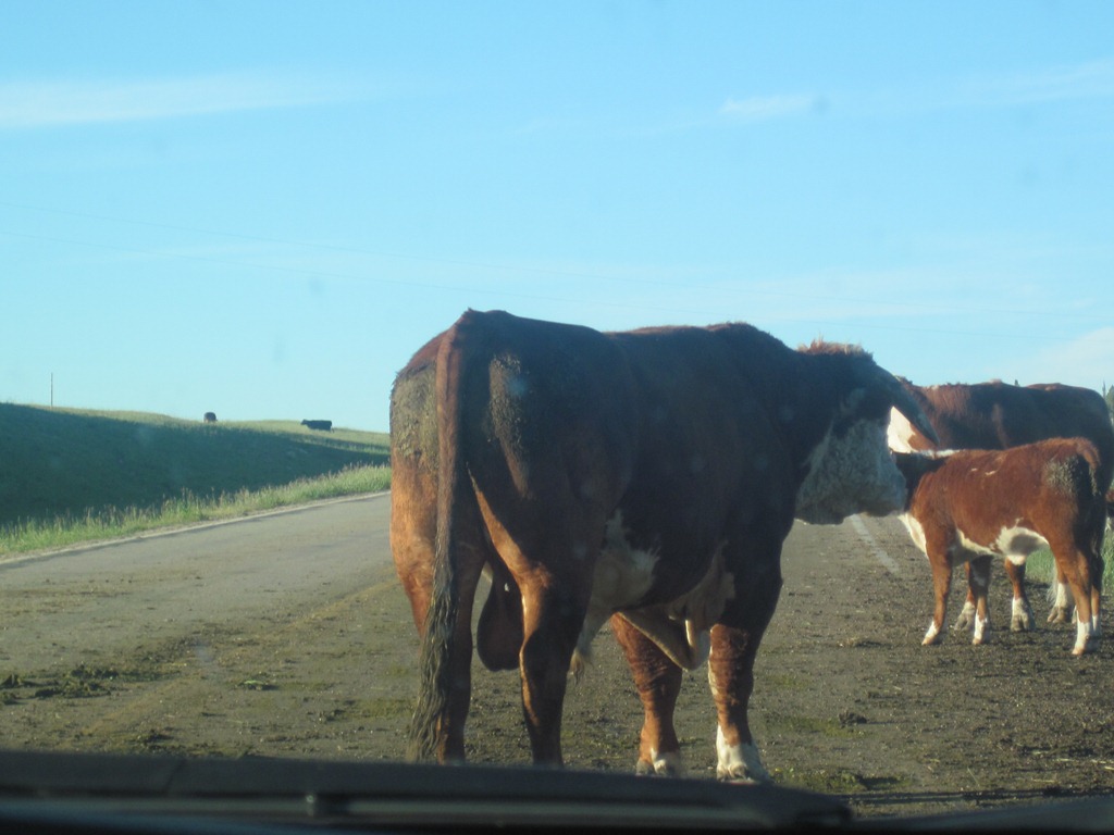 [IMG_1330%255B5%255D.jpg]