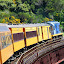 Crossing The Bridge at Deep Stream - Dunedin, New Zealand