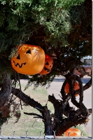 DIY Halloween decorating, pumpkins