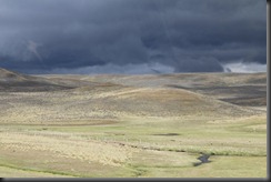 IMG_1708 IMG_1708