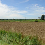 Kline Reunion 2008