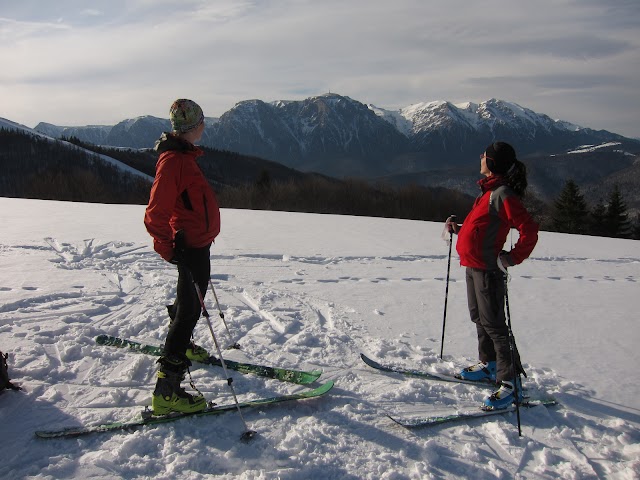 "Pinguinite" insarcinate cu "foci". Foto: Radu Baiului-Radu-984.jpg