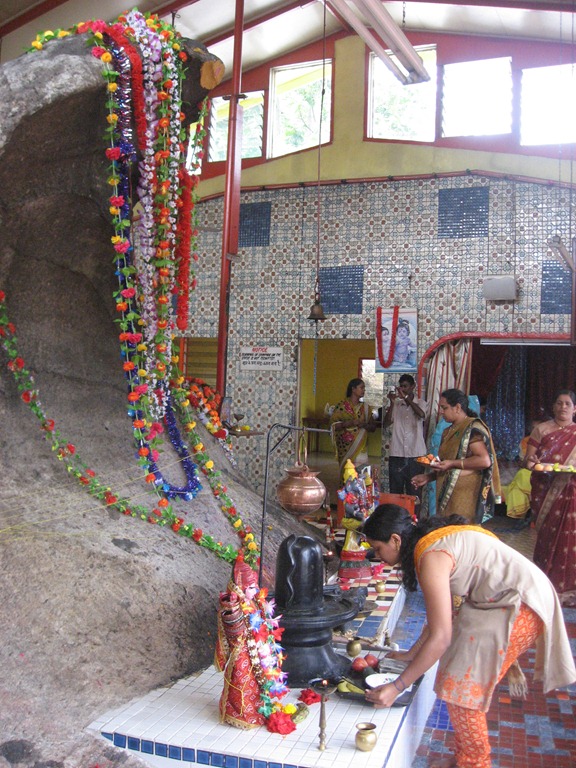 [IMG_04547.jpg]