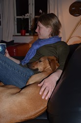 DSC_5129.JPG